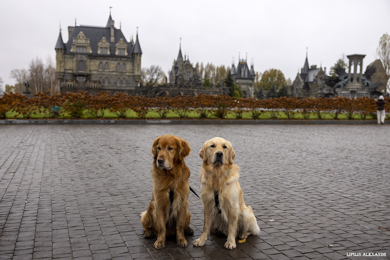 ����������� � ����������� ����������� �� ��������� ������� 2025