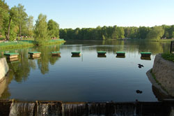 Кузьминский парк (Май 2007 г.)