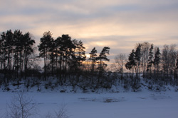 Зима (декабрь 2007 г.- февраль 2008 г.)