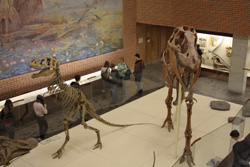 Палеонтологический Музей(март 2008 г.) 