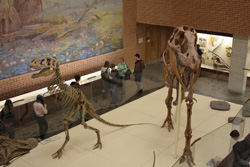Палеонтологический Музей(март 2008 г.)