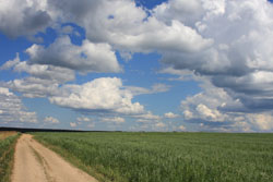 Лето 2008 (июнь-август 2008 г.)