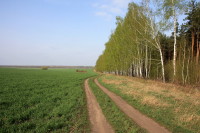 Воронежская область