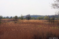 Воронежская область