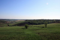 Воронежская область