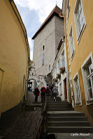 Tallinn, Eesti (Таллин, Эстония)