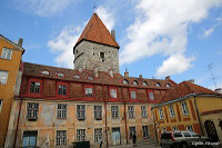 Tallinn, Eesti (Таллин, Эстония)