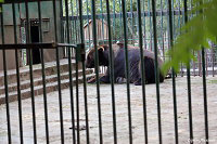 "Одесский зоопарк"