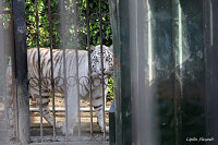 Тбилисский зоопарк