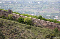 Сигнахи (Signakhi) - Грузия (Georgian)