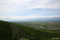 Сигнахи (Signakhi) - Грузия (Georgian)