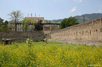 Телави (Telavi) - Грузия (Georgian)