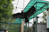 Ленинградский зоопарк