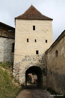 Рышновская крепость