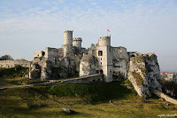 Замок Огродзенец (Castle Ogrodzieniec)