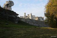 Замок Огродзенец (Castle Ogrodzieniec)