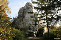 Замок Огродзенец (Castle Ogrodzieniec)