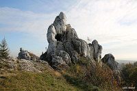 Замок Огродзенец (Castle Ogrodzieniec)