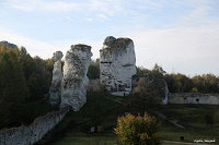 Замок Огродзенец (Castle Ogrodzieniec)