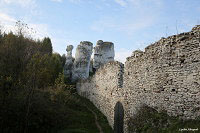 Замок Огродзенец (Castle Ogrodzieniec)