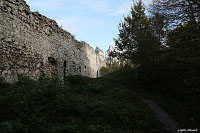 Замок Огродзенец (Castle Ogrodzieniec)