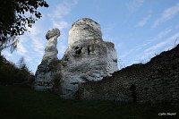 Замок Огродзенец (Castle Ogrodzieniec)