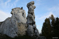 Замок Огродзенец (Castle Ogrodzieniec)