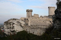 Замок Огродзенец (Castle Ogrodzieniec)