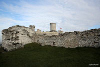 Замок Огродзенец (Castle Ogrodzieniec)