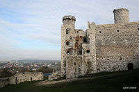 Замок Огродзенец (Castle Ogrodzieniec)