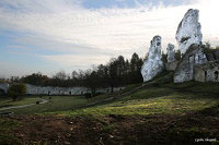 Замок Огродзенец (Castle Ogrodzieniec)