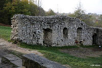 Замок Огродзенец (Castle Ogrodzieniec)