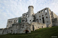 Замок Огродзенец (Castle Ogrodzieniec)