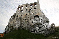 Замок Огродзенец (Castle Ogrodzieniec)