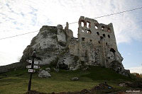 Замок Огродзенец (Castle Ogrodzieniec)