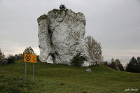 Замок Миров (Castle Mirov)