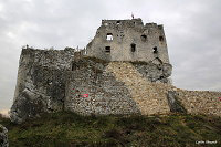 Замок Миров (Castle Mirov)