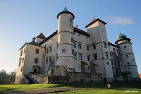 Замок Новы Виснич -  