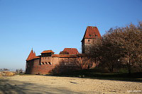 Замок Мальборк 