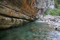 Рицинский реликтовый национальный парк