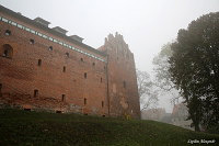Замок в Дзялдово