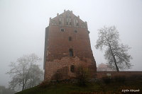 Замок в Дзялдово
