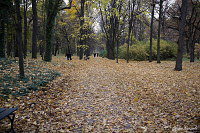 Парк «Королевские Лазенки»