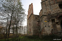 Замок Джевицких - Джевица (Drzewica)