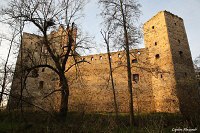 Замок Джевицких - Джевица (Drzewica)