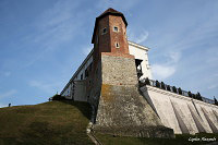 Замок Сандомерский Сандомир (Sandomierz)