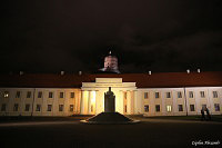Вильнус (Vilnius) Национальный музей Литвы