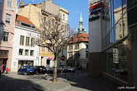 Брно (Brno)