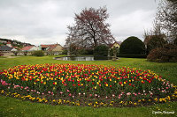 Замок Лисице - Лисице (Lysice)