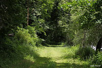 Замок Шёнбюель Шёнбюель ан Дунай (Schönbühel an der Donau)